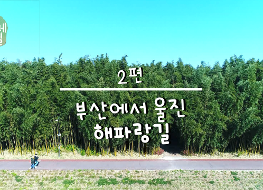 한국의둘레길_시즌1_3분영상썸네일_2편.png